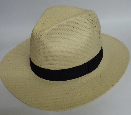 Summer Hat MS14101
