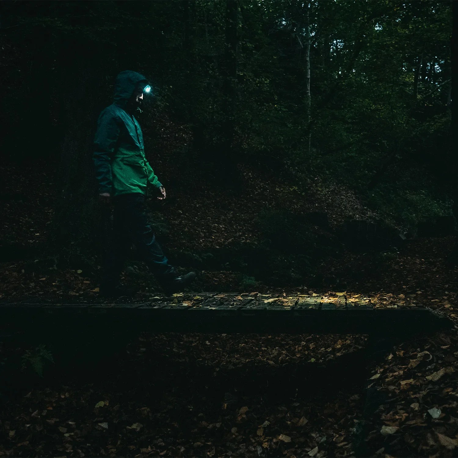 Highlander Head Torch TOR194